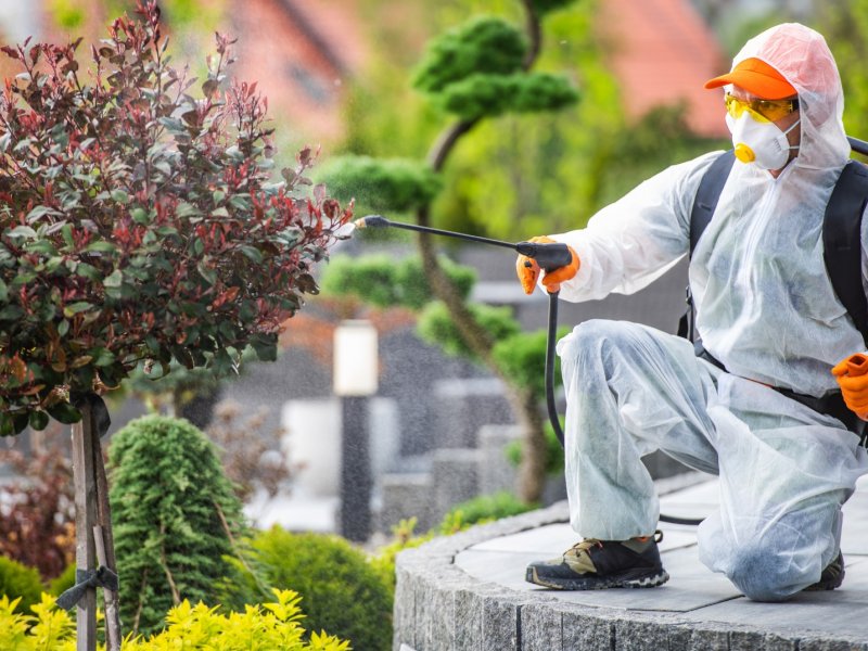 Senirkent Haşere İlaçlama